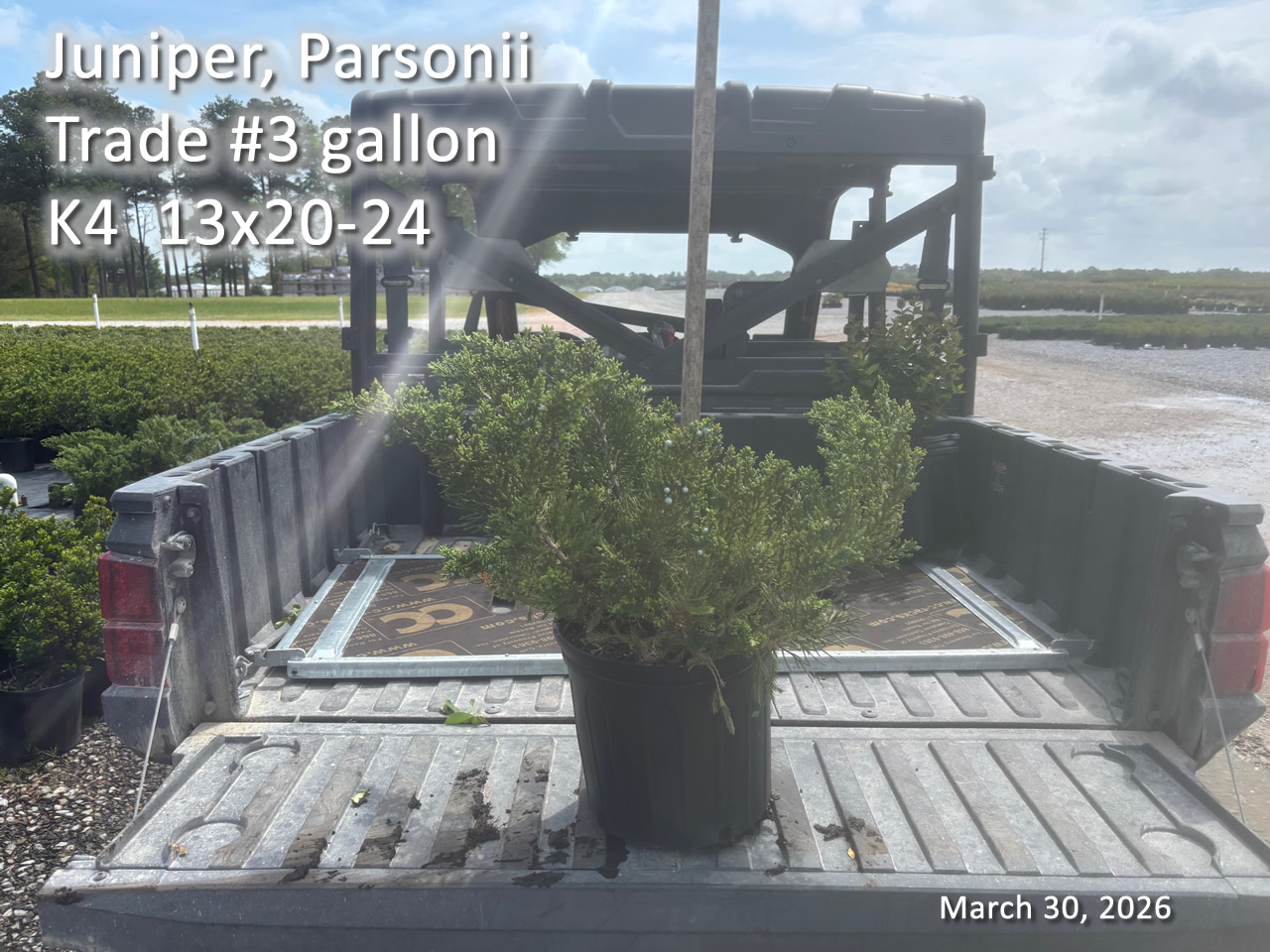 gallery/par3t k4 mar30.jpg